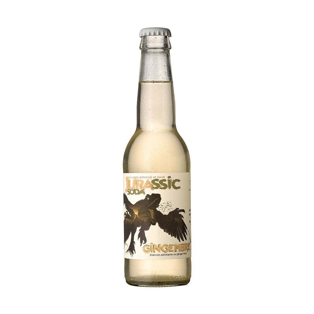 Jurassic Soda Gingembre